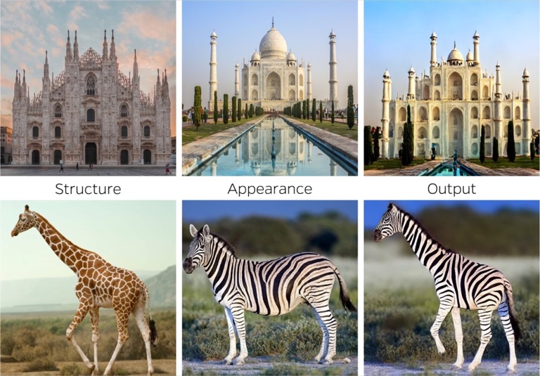 Cross-Image Attention